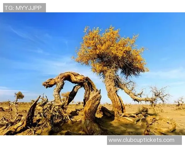 伊萨克的传奇旅程与不朽精神在历史长河中的深远影响
