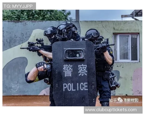 南京排球队战术争议引发热议球迷与专家各执己见分析战术优劣